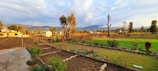 A rural landscape featuring a garden with neatly arranged plots for plants, bordered by stones. There are several pots with small plants placed along the border. In the distance, there is a field leading to a line of trees and mountains under a partly cloudy sky. The sunlight casts a warm glow over the scene.