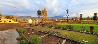 A rural landscape featuring a garden with neatly arranged plots for plants, bordered by stones. There are several pots with small plants placed along the border. In the distance, there is a field leading to a line of trees and mountains under a partly cloudy sky. The sunlight casts a warm glow over the scene.