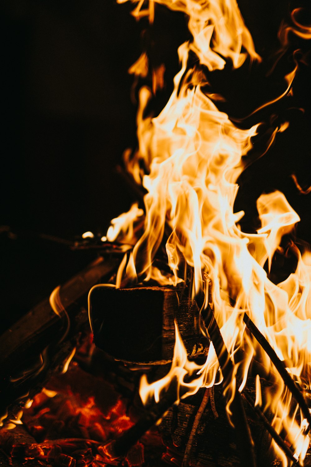 fire in close up photography