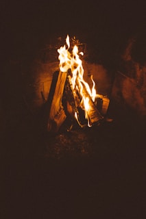 A cozy fireplace with burning seasoned firewood, creating a warm ambiance.