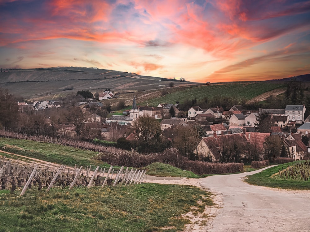 houses on green grass field during sunset