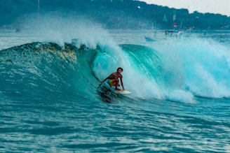 A surfer skillfully rides a large, curling wave in the ocean. The scene captures the dynamic motion and the water spray created by the wave. The background includes a distant coastline with green vegetation and a few indistinct structures.