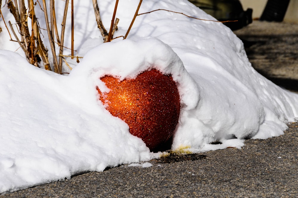 brown round fruit covered with snow