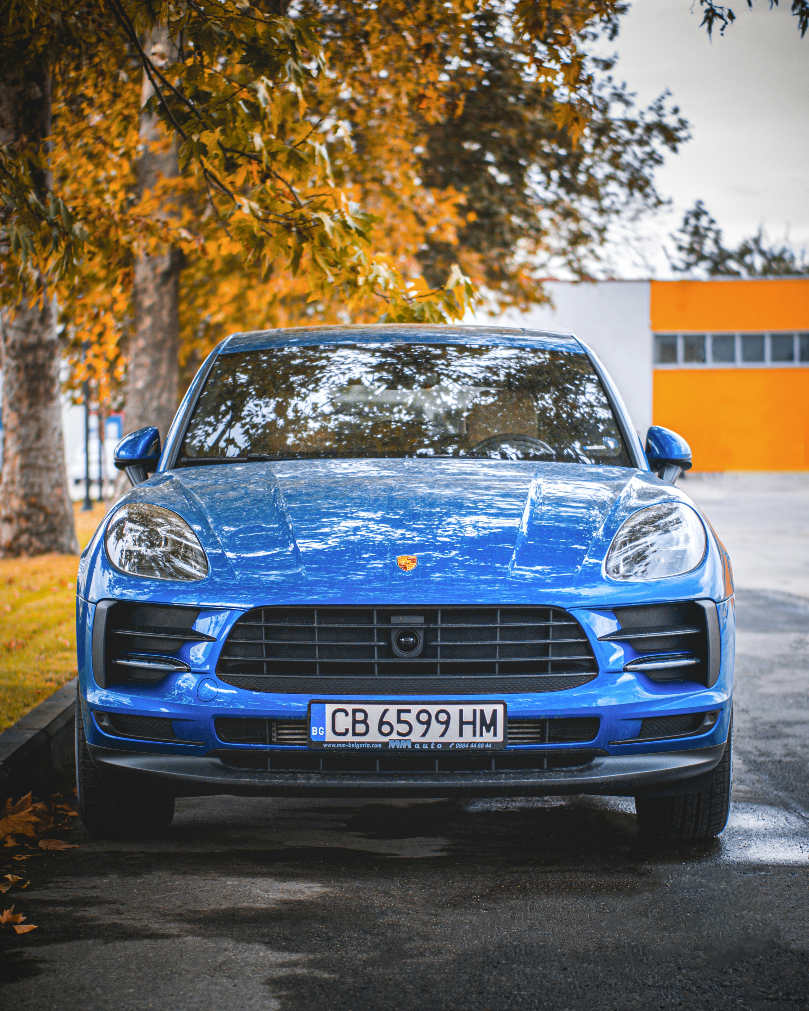 blue bmw car parked near trees during daytime