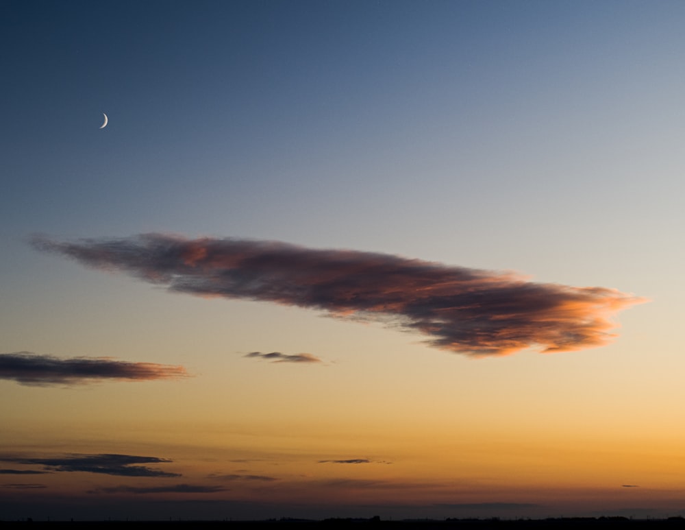 birds flying over the clouds during sunset