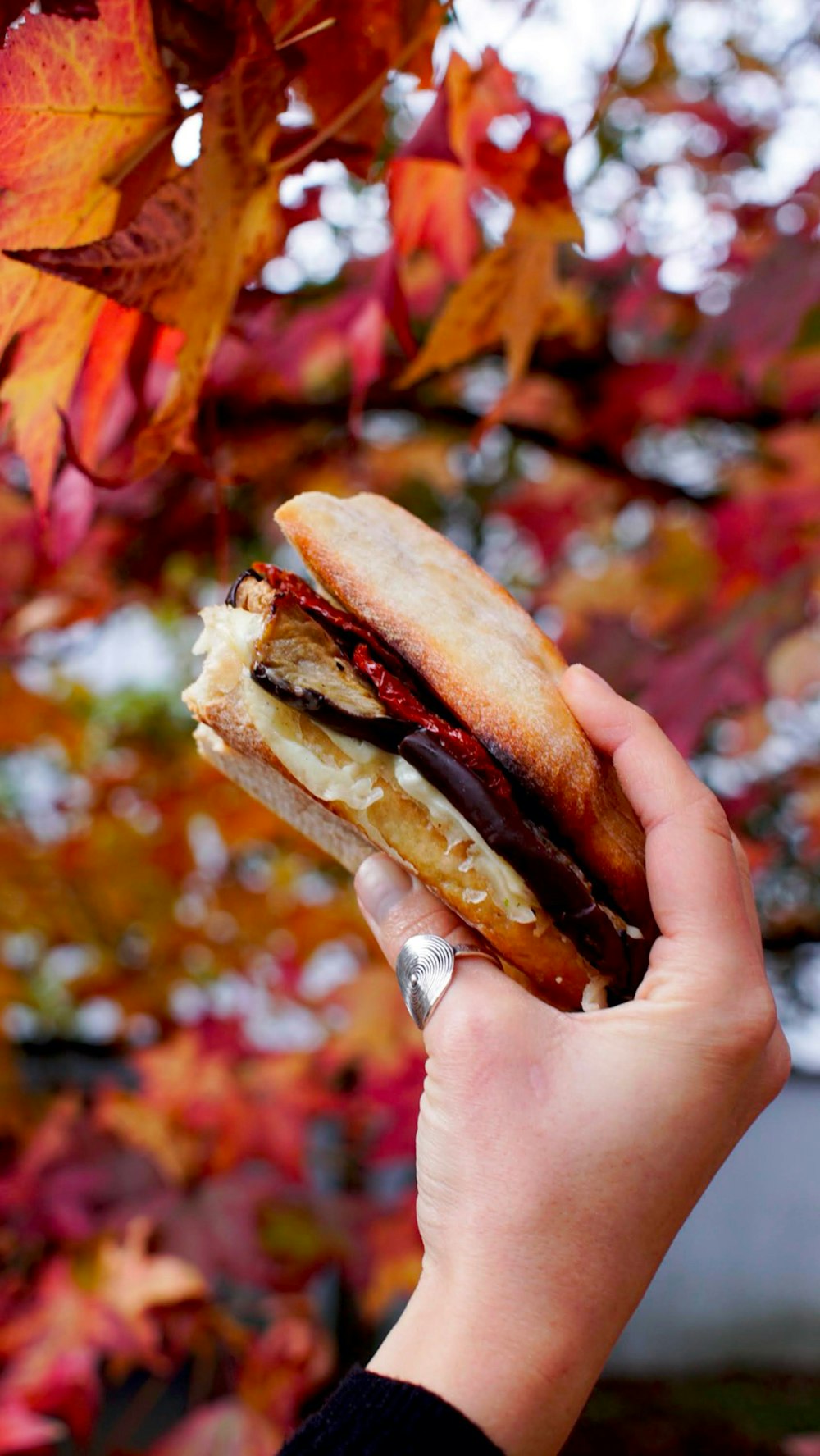 ハムとチーズのハンバーガーを持っている人