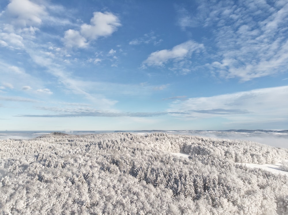 Campo cubierto de nieve blanca bajo el cielo azul durante el día