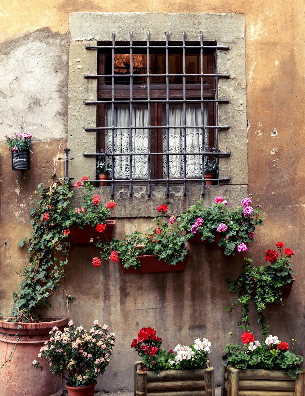 red flowers on brown clay pot