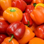 red and yellow bell peppers