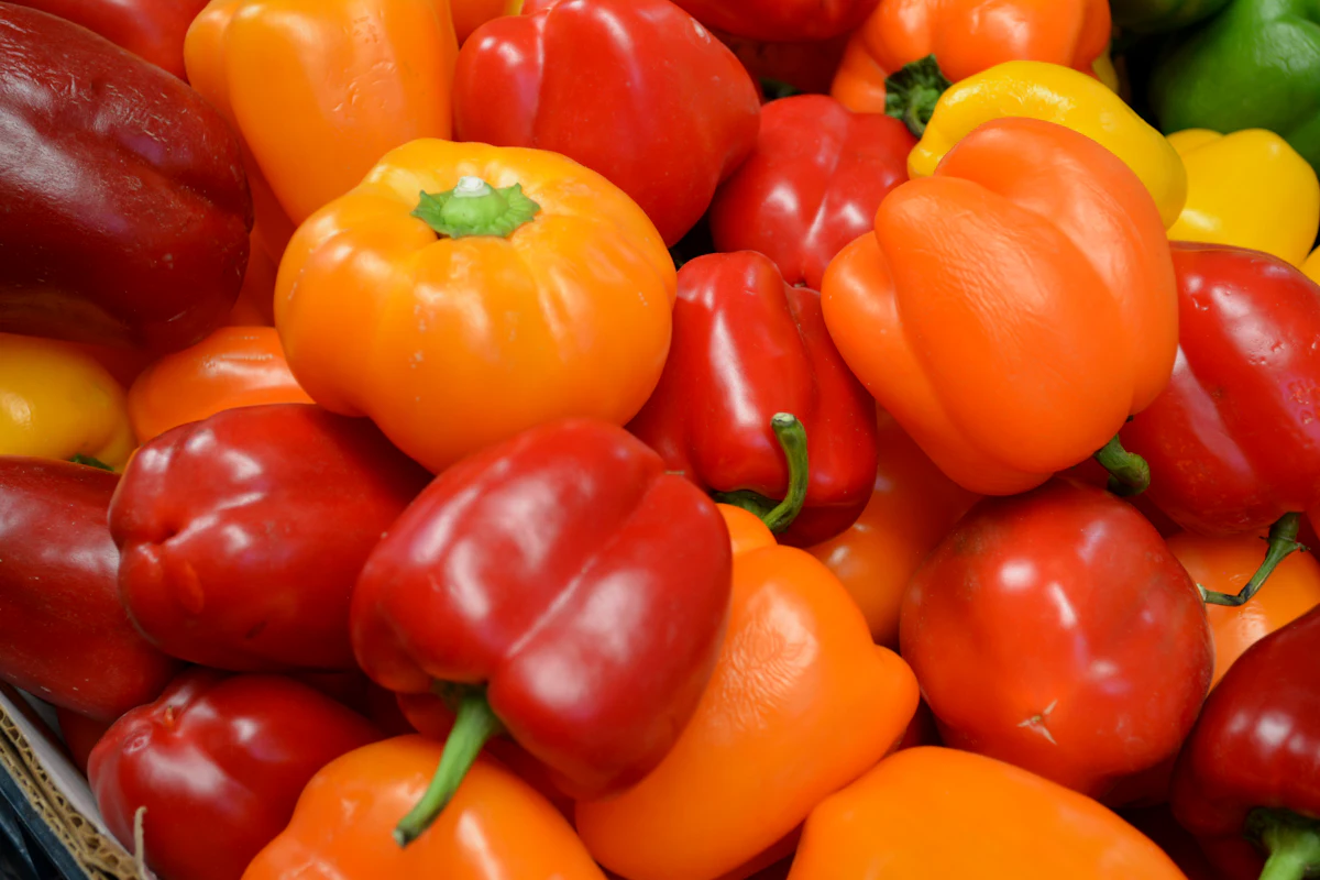 Poivrons rouges, jaunes et orange