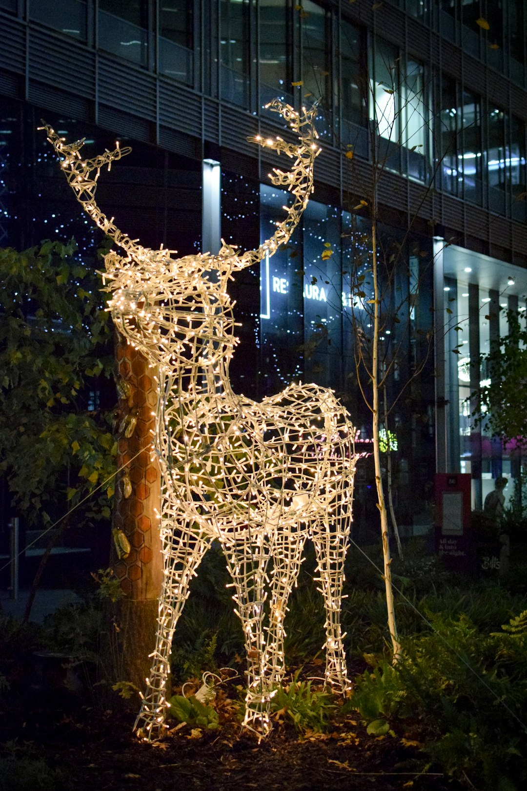 brown and white string light