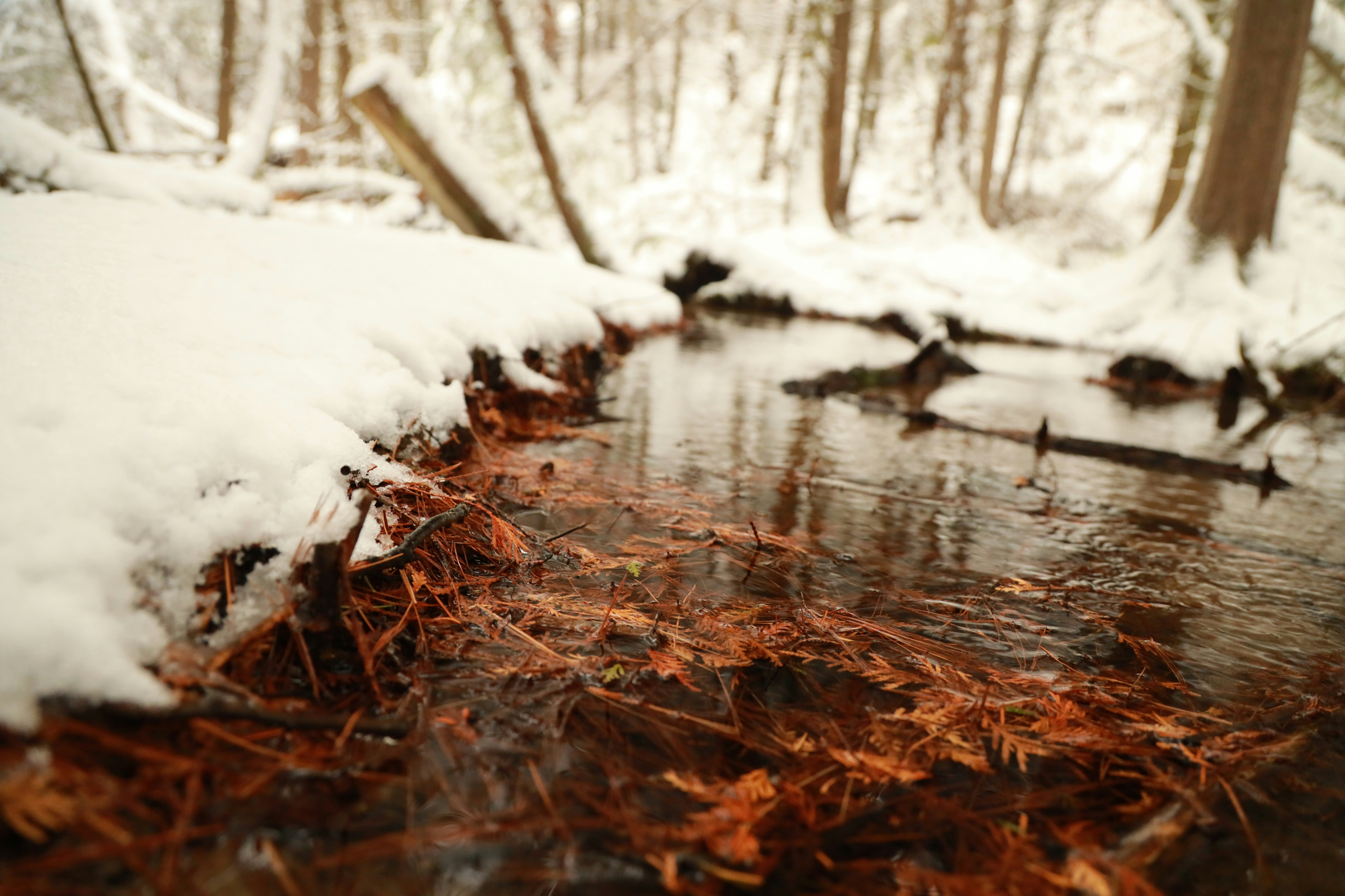 Photo by richardworks