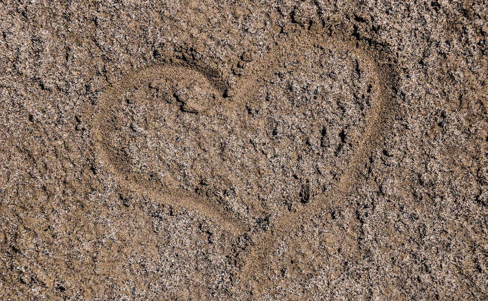 brown and black dirt ground