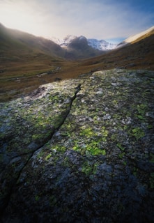A mountainous landscape featuring rugged terrain with moss-covered rocks in the foreground. Snow-capped peaks are visible in the distance, bathed in soft sunlight. The scene is serene and remote, with a sense of stillness.