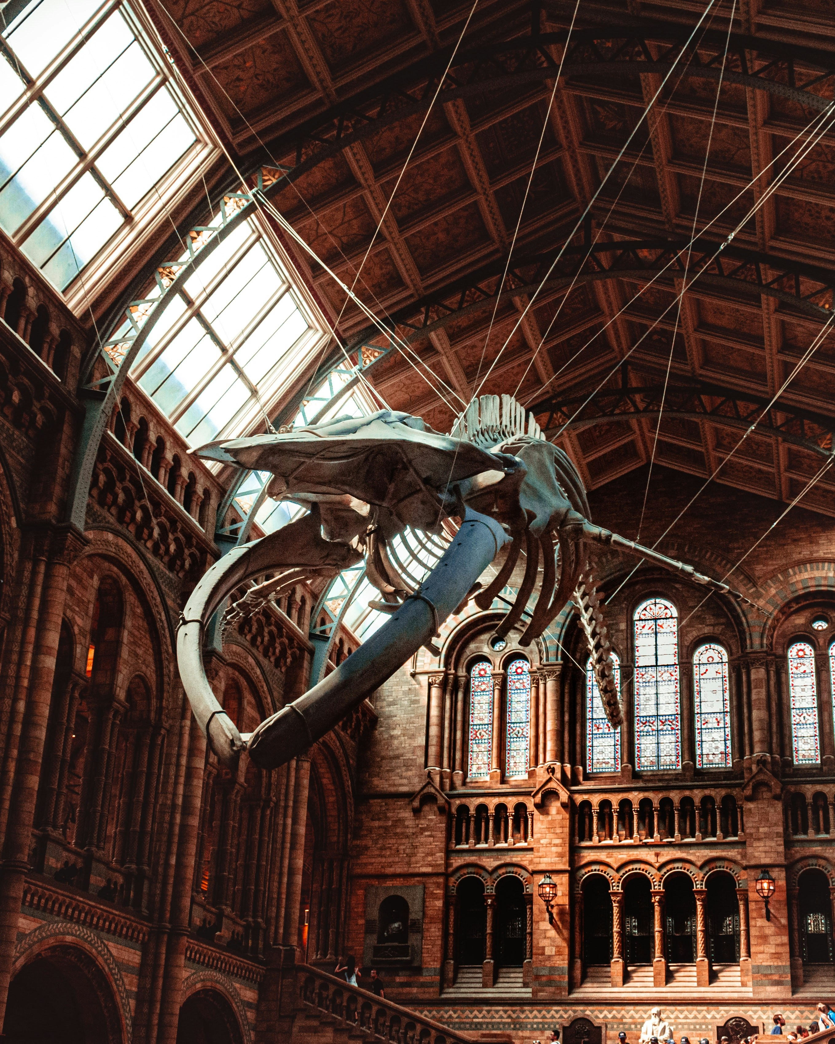 Photo by squirrellish