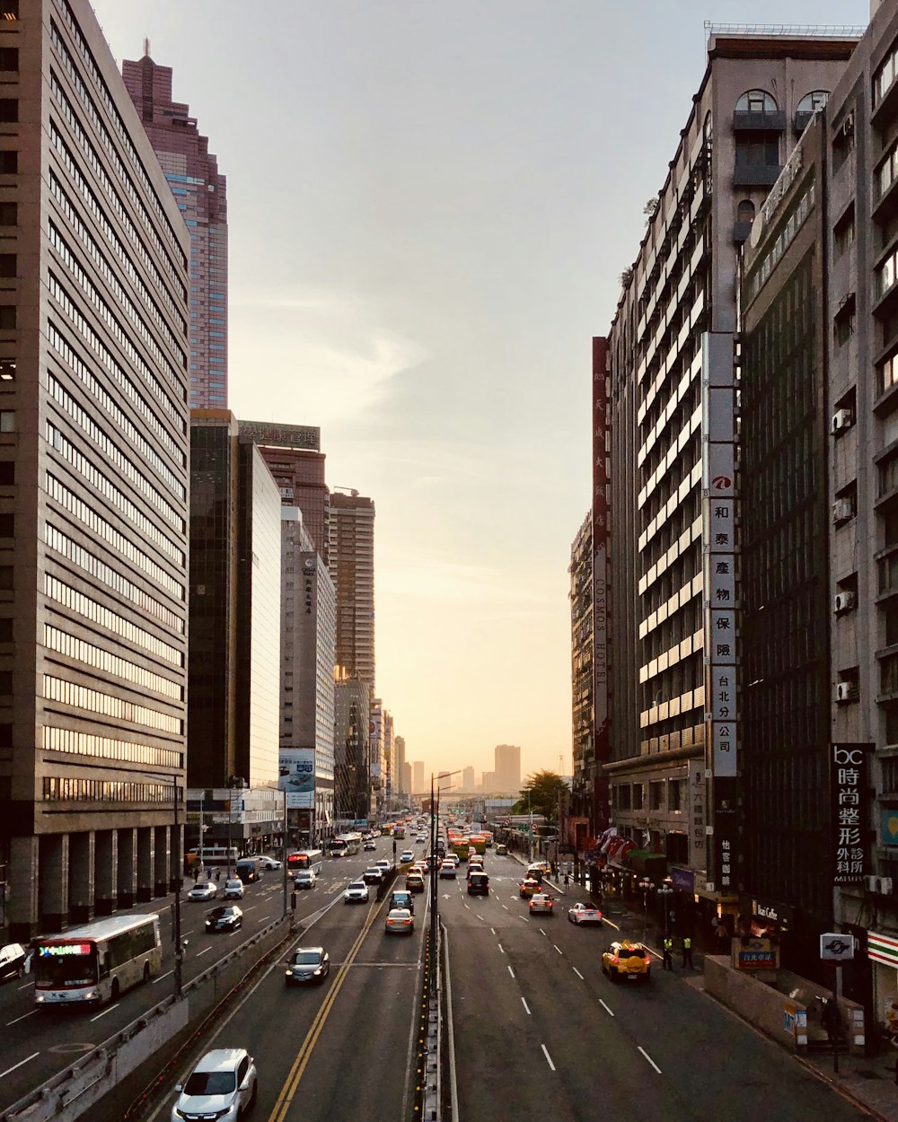 cars on road between high rise buildings during daytime