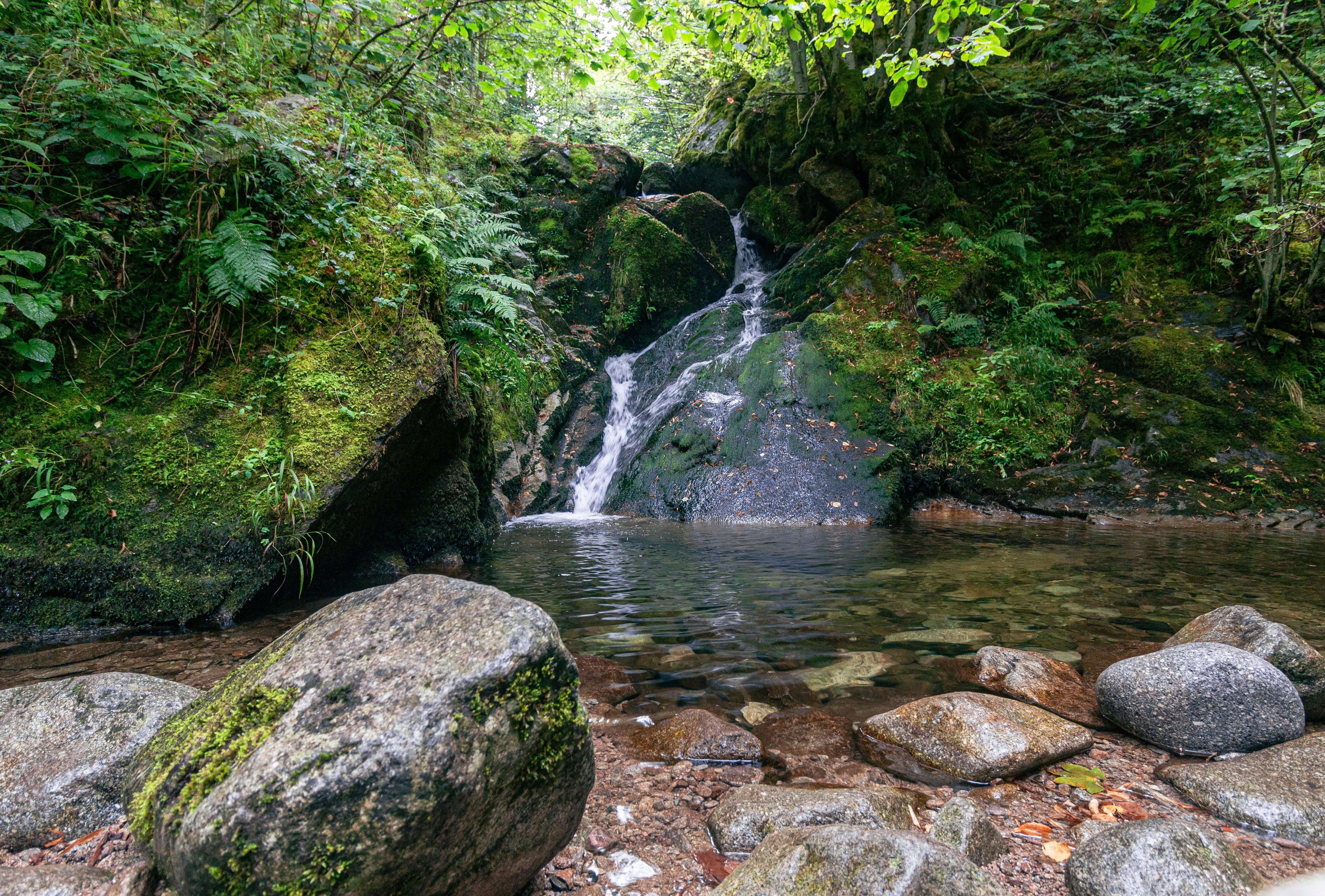 Waterfall hidden away in a lush forest in France