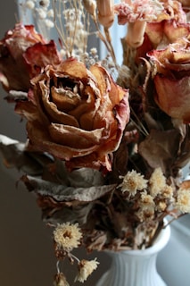 Dried roses and other flowers arranged in a white vase. The petals are withered and have taken on a deep brown and amber hue. Surrounding the roses are smaller dried flowers and foliage, adding texture to the arrangement.