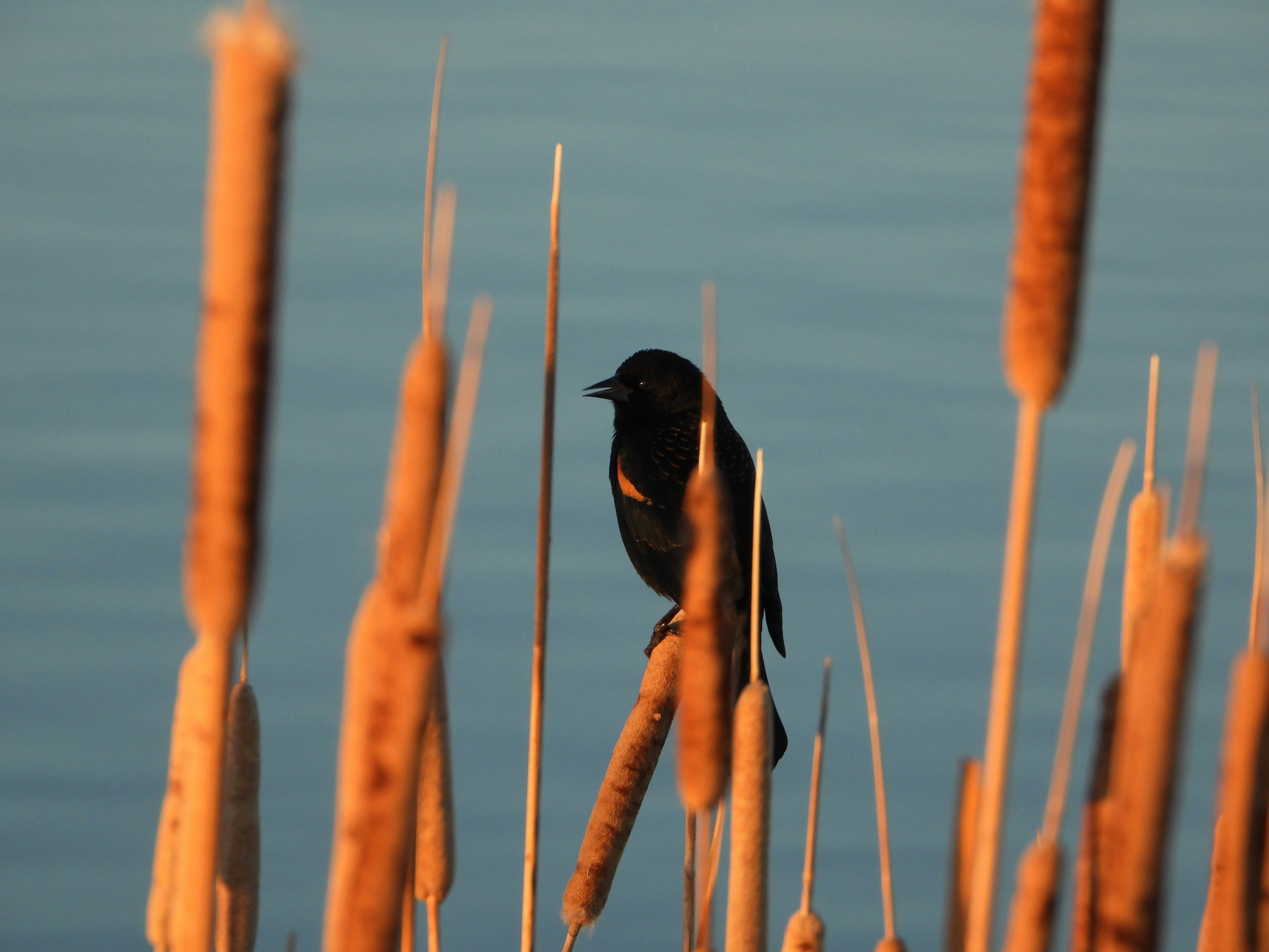 Photo by evergreene24