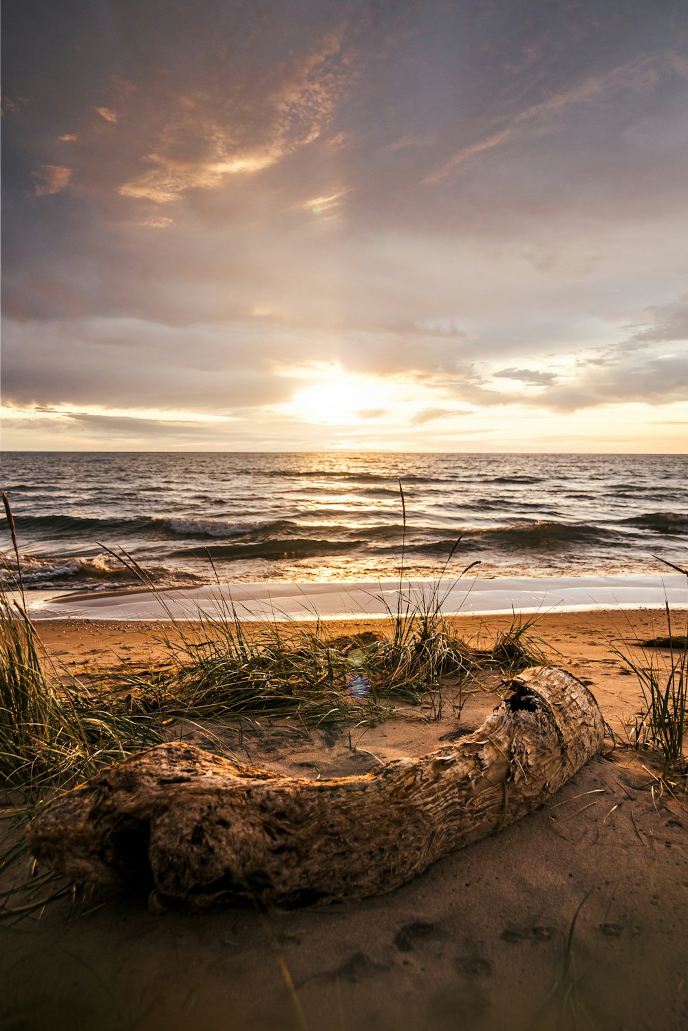 brown sand near body of water during daytime