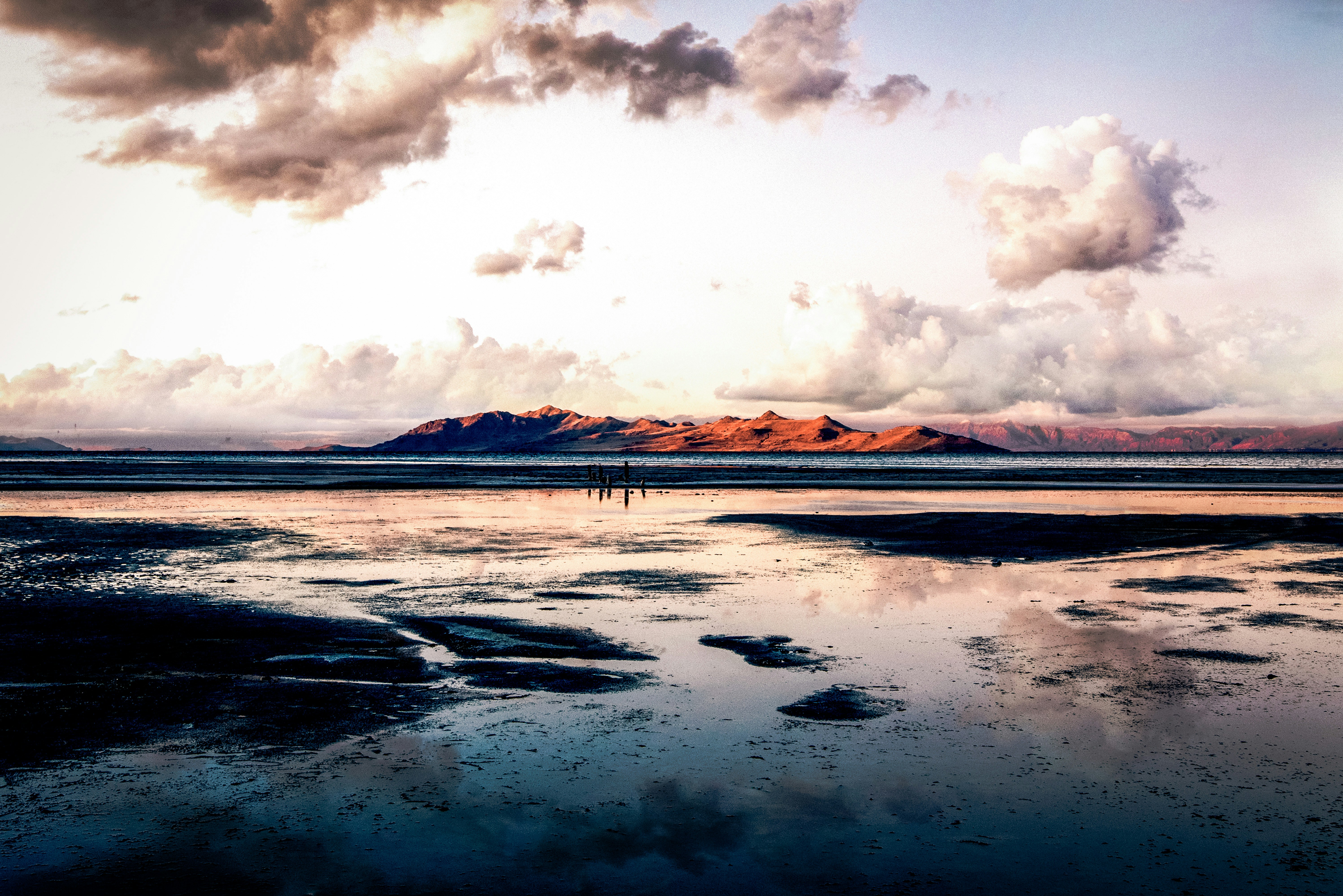 Restoring Biodiversity - 8/6/2024