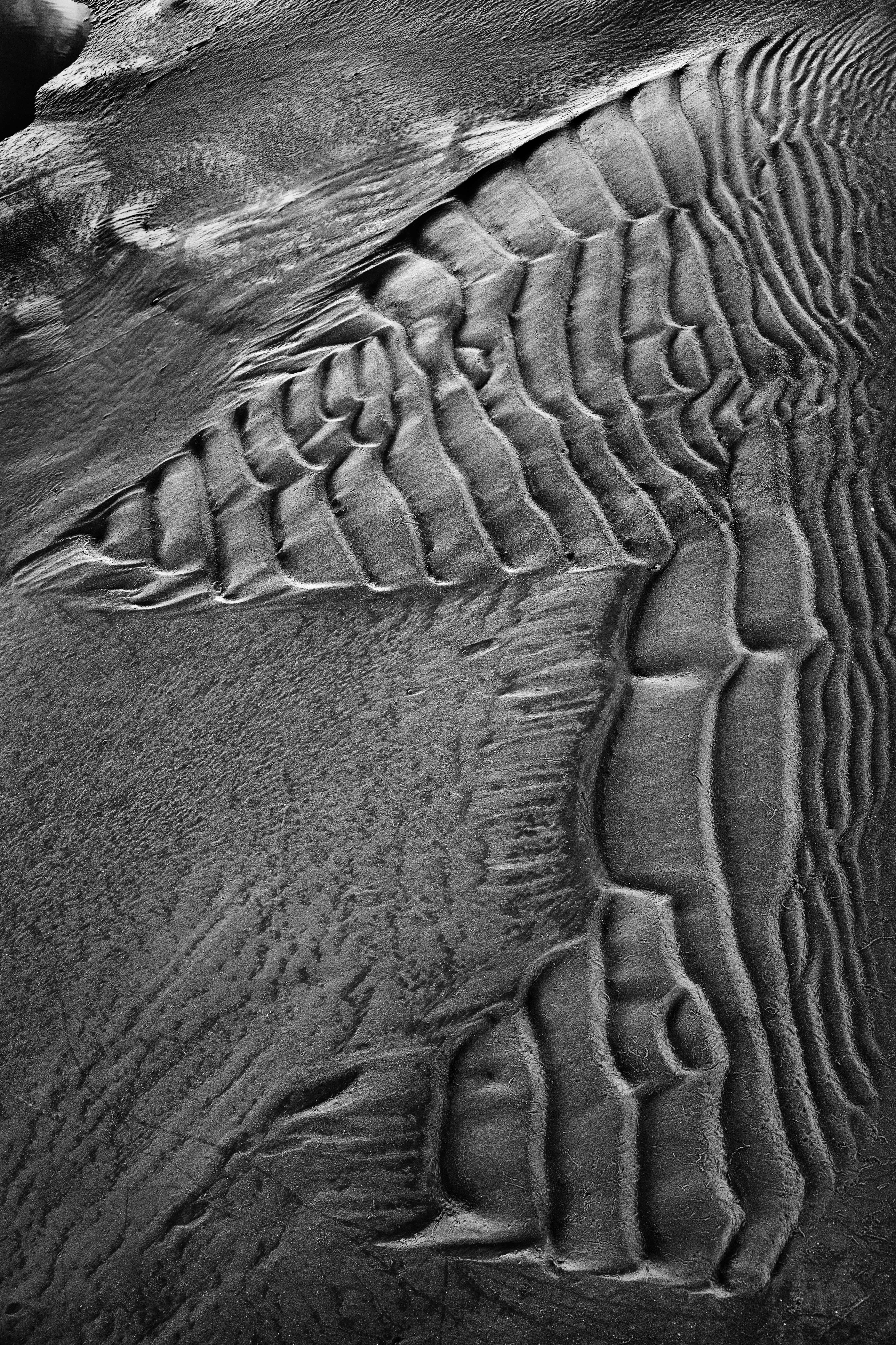 Photo by mezcalpaloma