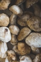 brown and white round stones