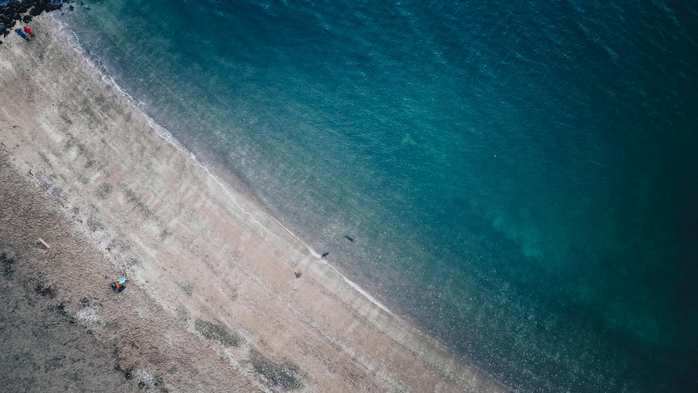 aerial view of beach during daytime