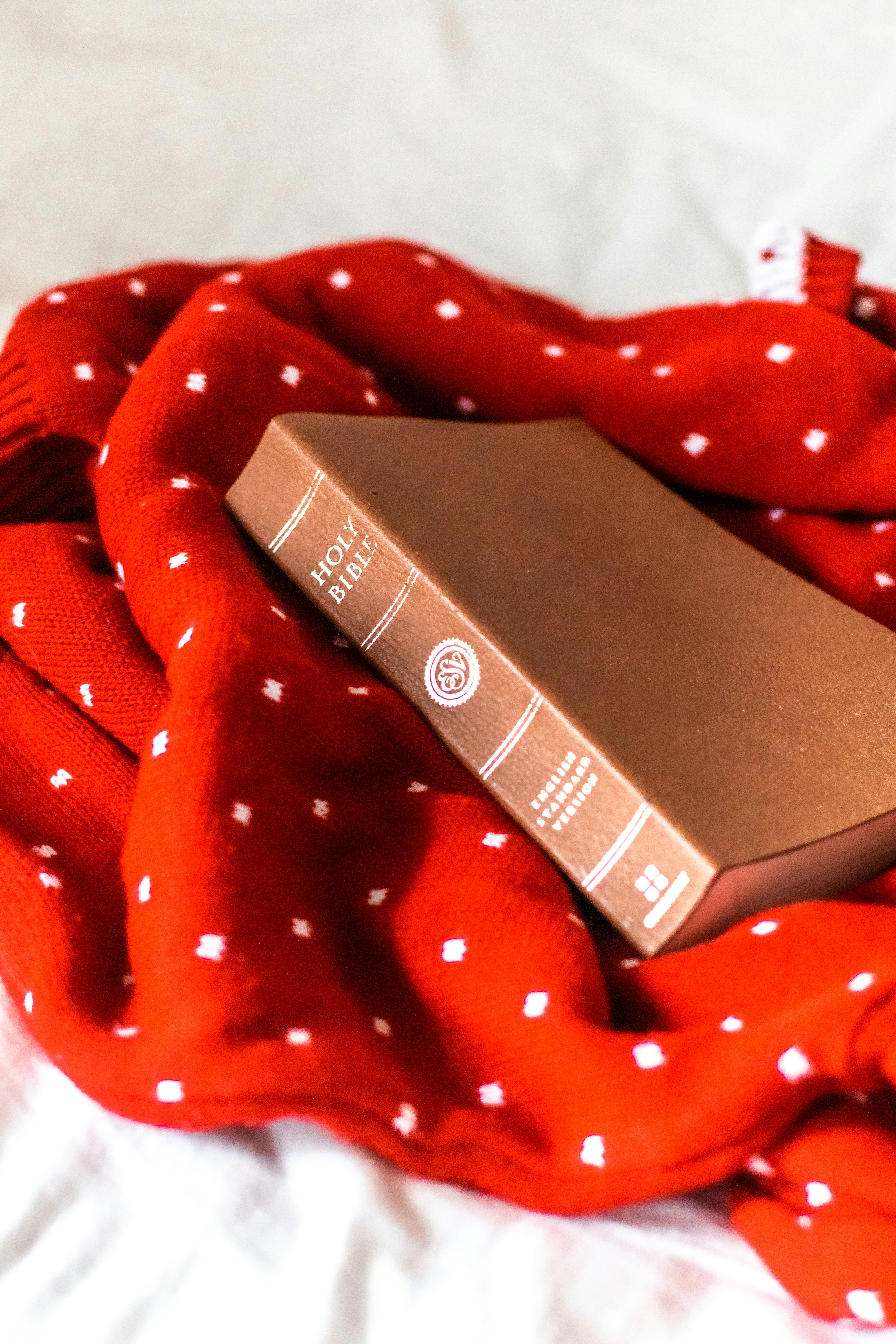 赤と白の水玉模様のテキスタイルにブラックボックス