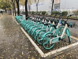 A row of turquoise and white rental bicycles is neatly lined up in a designated bike parking area on a tree-lined, wet pavement. Fallen leaves scattered over the ground indicate a season change, likely autumn. The background includes tall buildings and a fenced area with shrubbery.