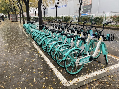 A row of turquoise and white rental bicycles is neatly lined up in a designated bike parking area on a tree-lined, wet pavement. Fallen leaves scattered over the ground indicate a season change, likely autumn. The background includes tall buildings and a fenced area with shrubbery.