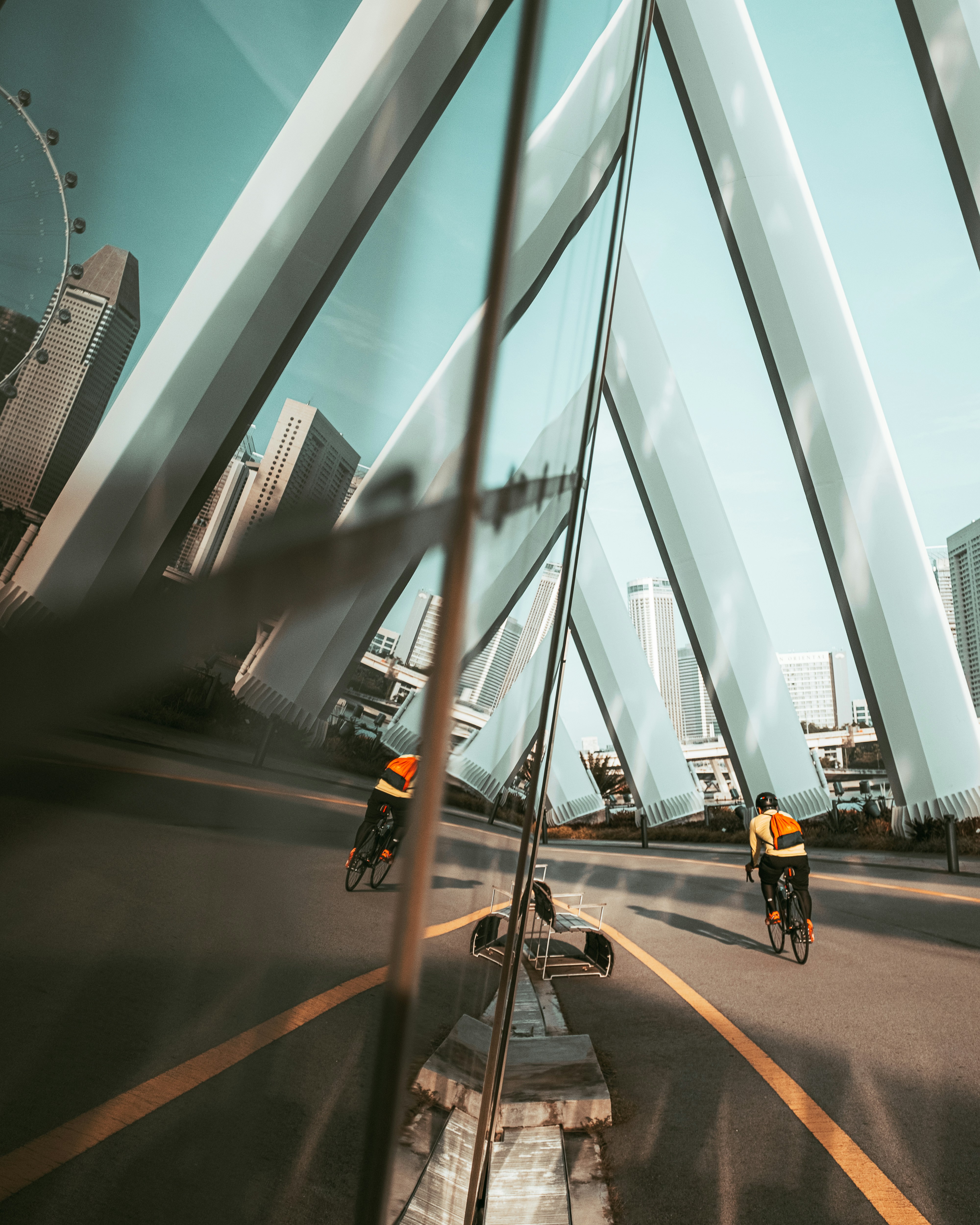 people walking on pedestrian lane during daytime