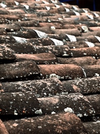 brown and black roof tiles