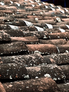 brown and black roof tiles