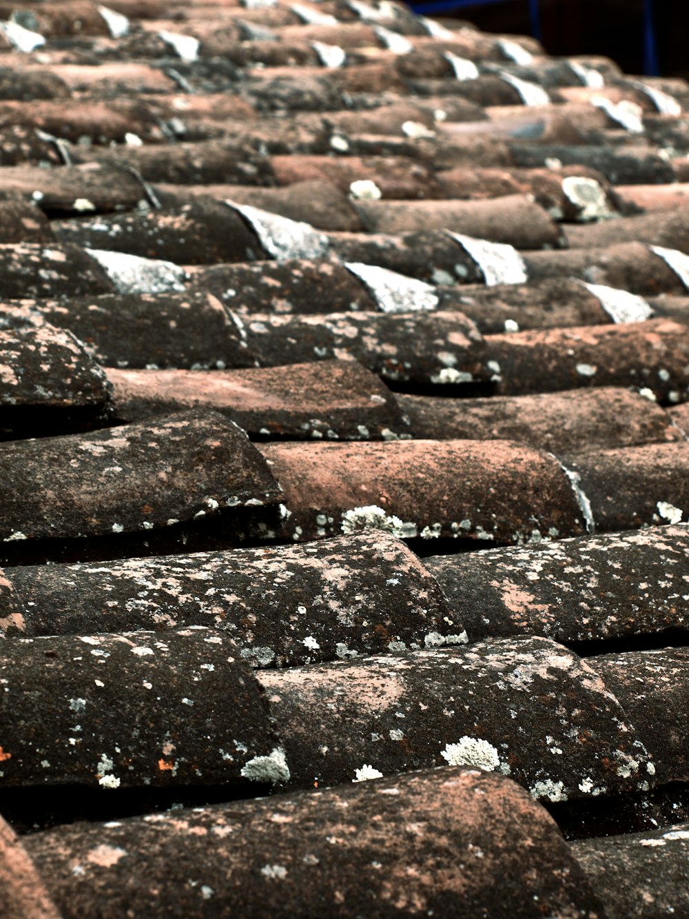 brown and black roof tiles