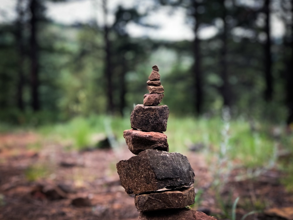 brown rock stack in forest during daytime
