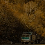 Side view of a cargamóvel truck driving along a highway surrounded by greenery.