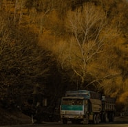 A large freight truck driving on a highway surrounded by green trees