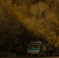 A Tordis trailer carrying hunting gear through a wooded area at dawn.