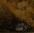 A large truck with a green cab and a long trailer is driving on a road. The surroundings are filled with dense leafless trees, creating a somber atmosphere. The faded sunlight casts a warm, golden hue over the entire scene, contrasting against the dark shadows.