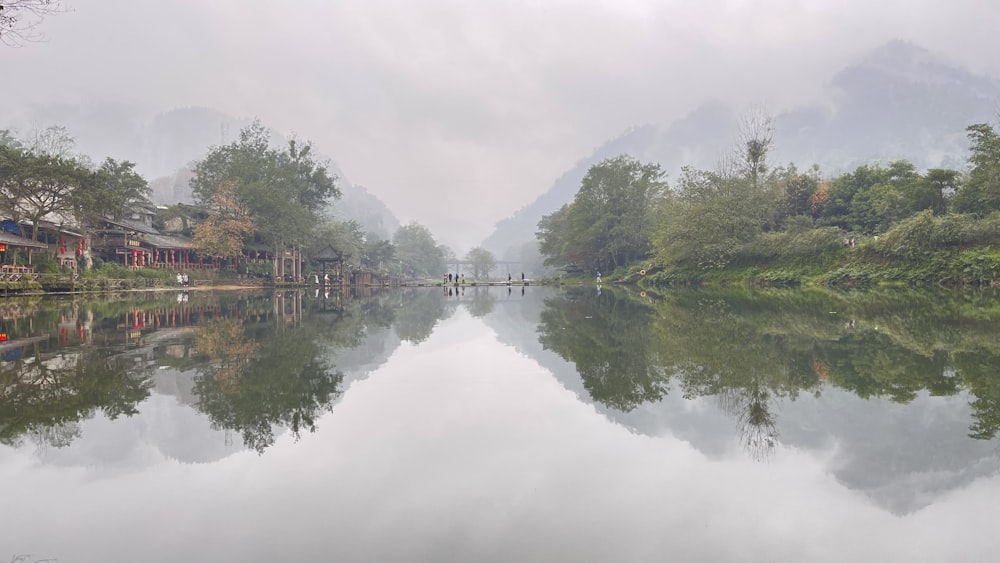 green trees beside river under white sky during daytime