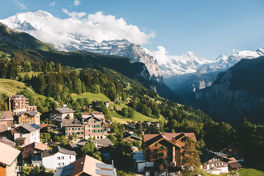 case marroni e bianche sulla montagna verde sotto il cielo blu durante il giorno