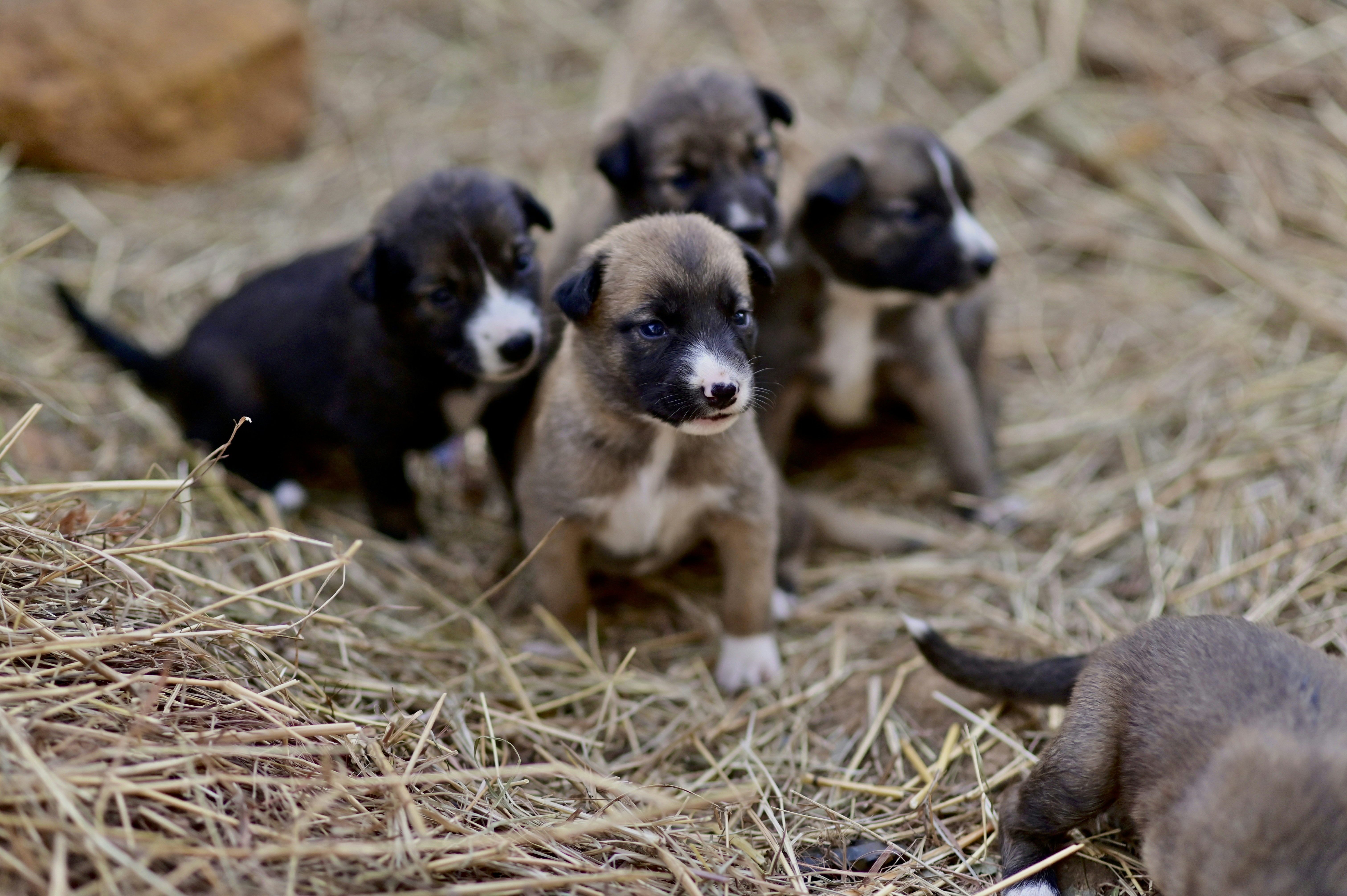 Photo by rrajputphotography