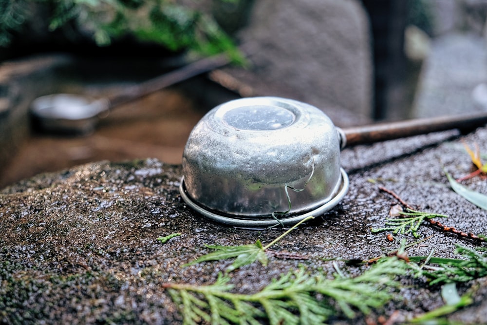 silver round ornament on brown soil