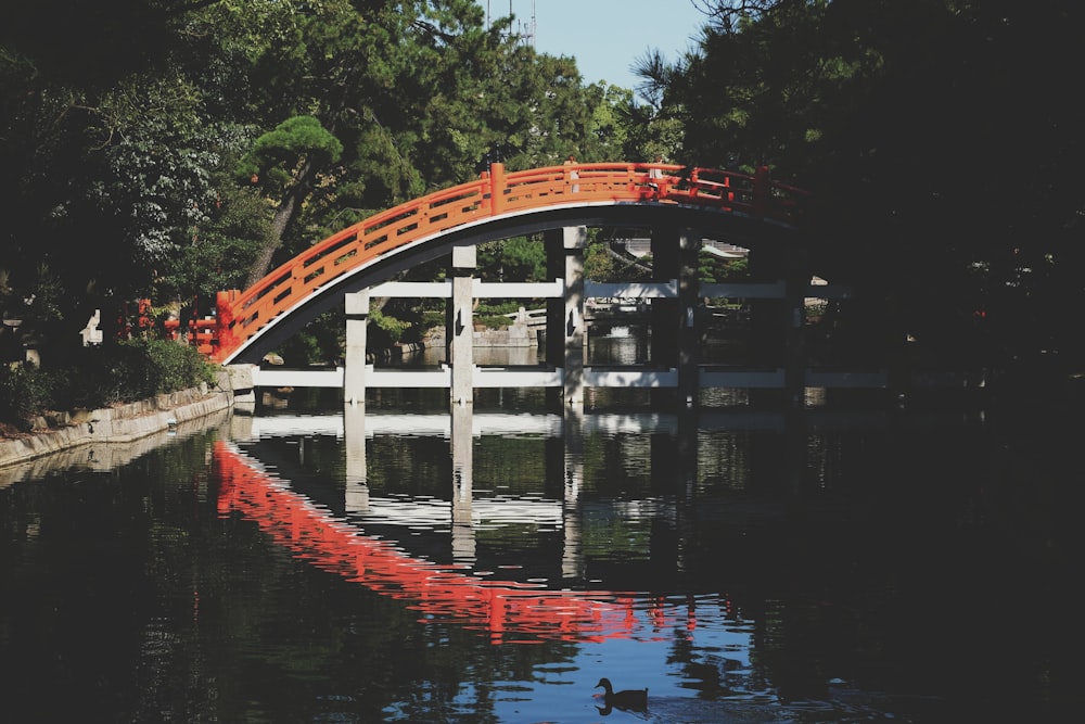 red bridge over river during daytime