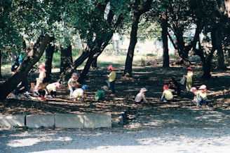 people sitting on concrete bench near trees during daytime