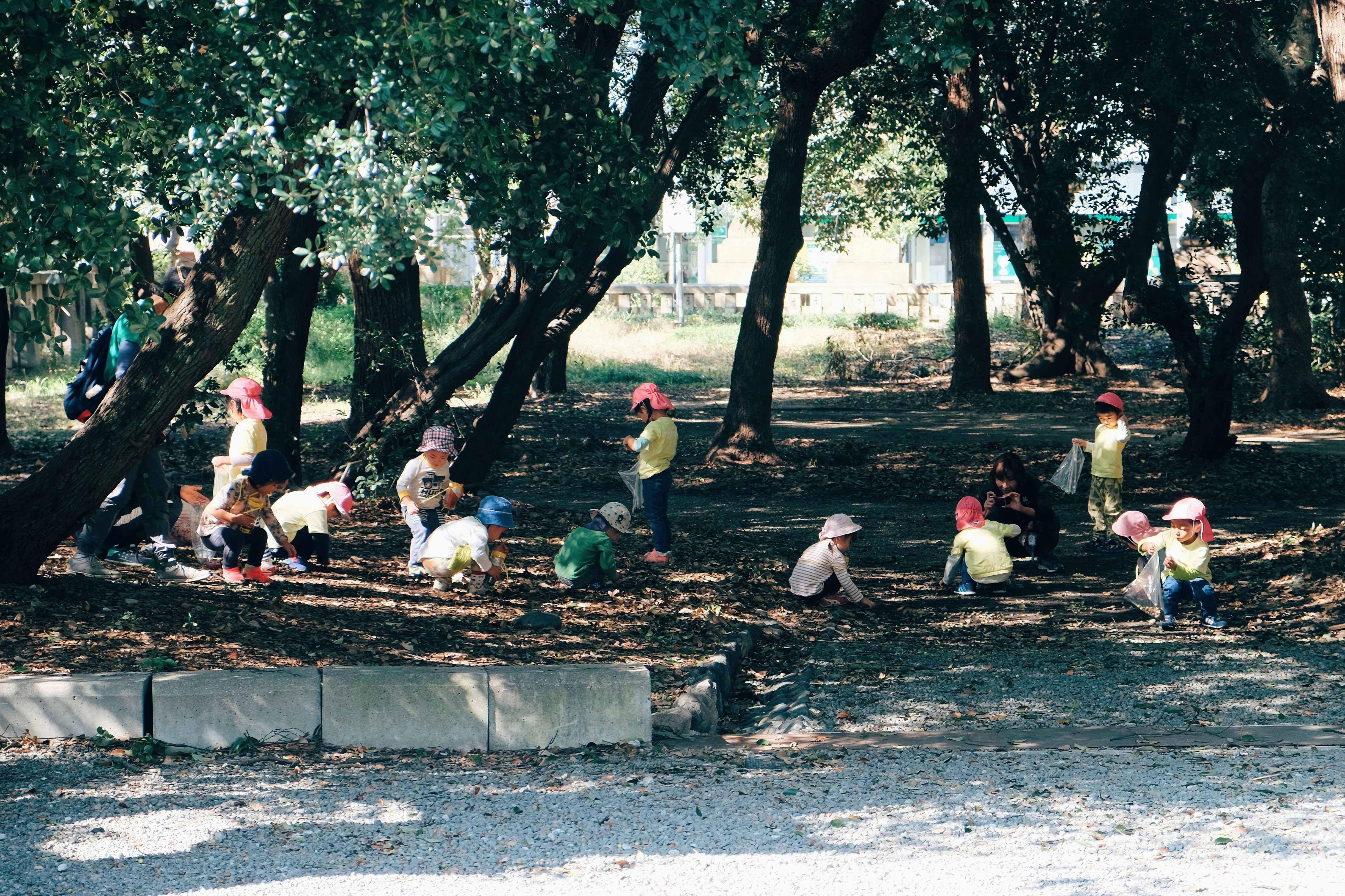 people sitting on concrete bench near trees during daytime