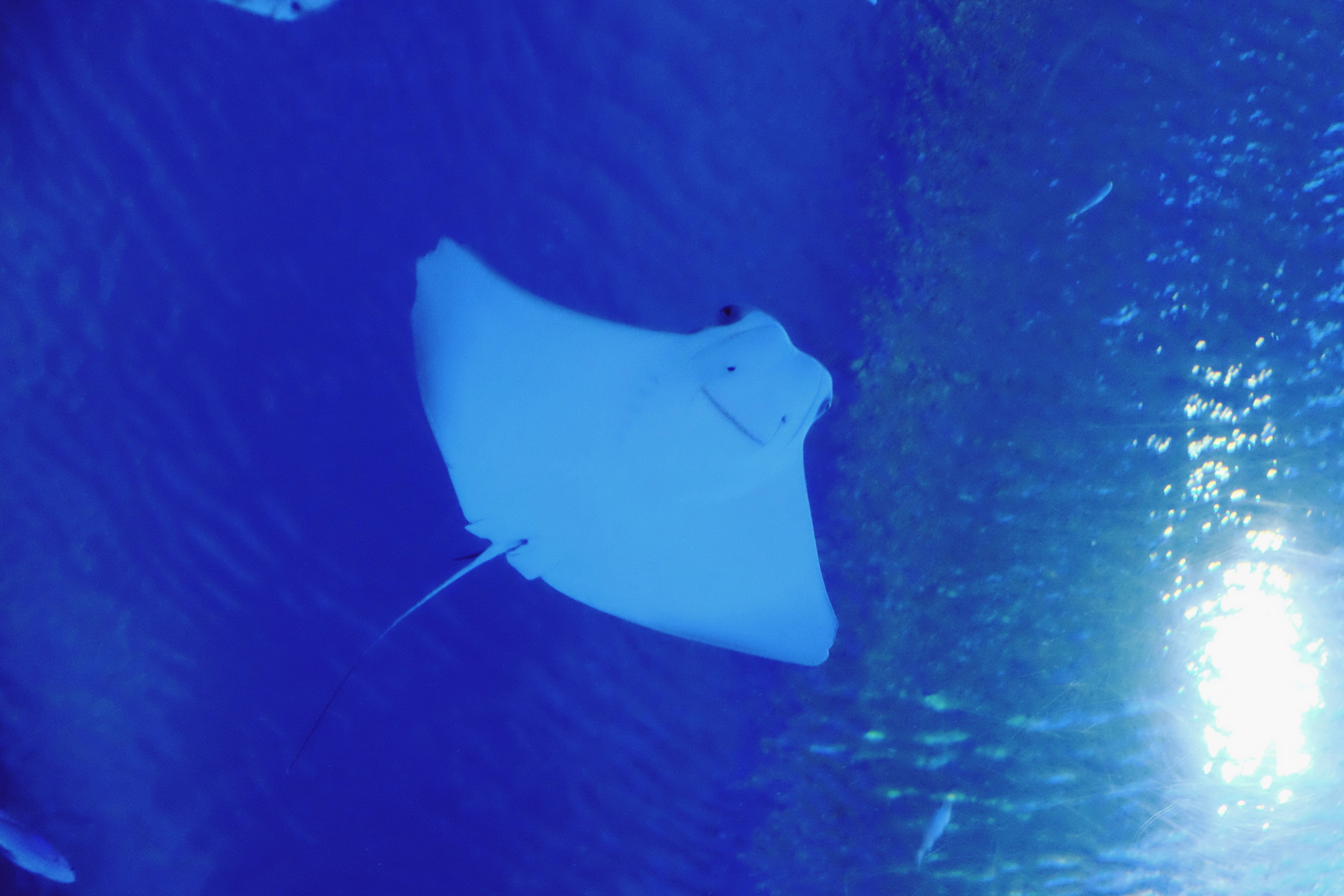 Future Research Horizons (image credits: unsplash)