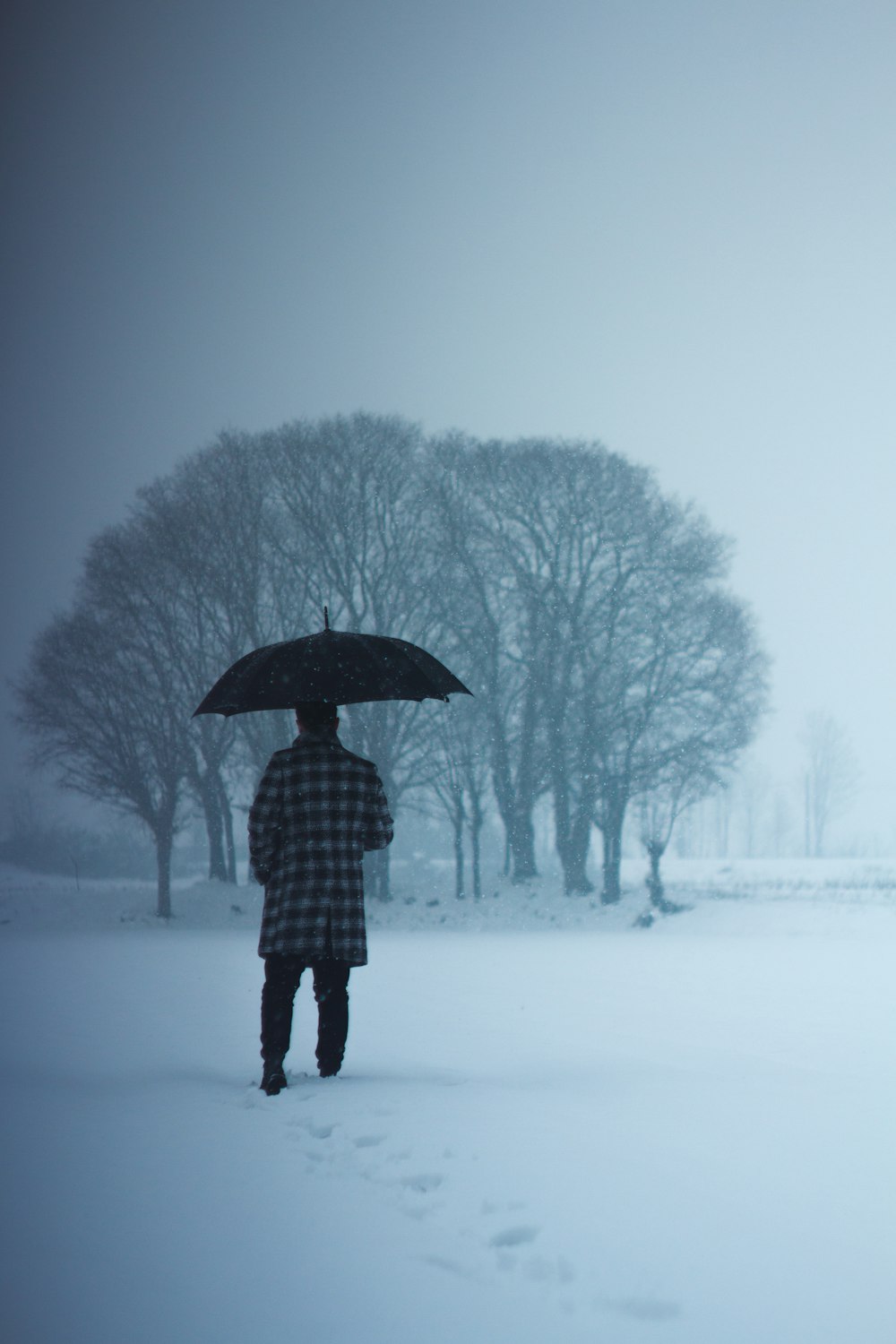 person in black and white plaid coat holding umbrella standing on snow covered ground