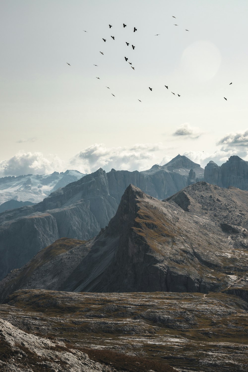 birds flying over mountain during daytime